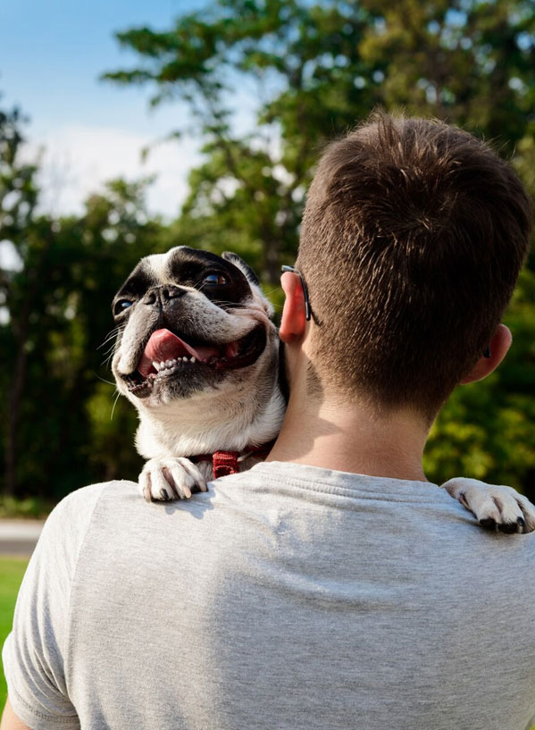 Veterinarian